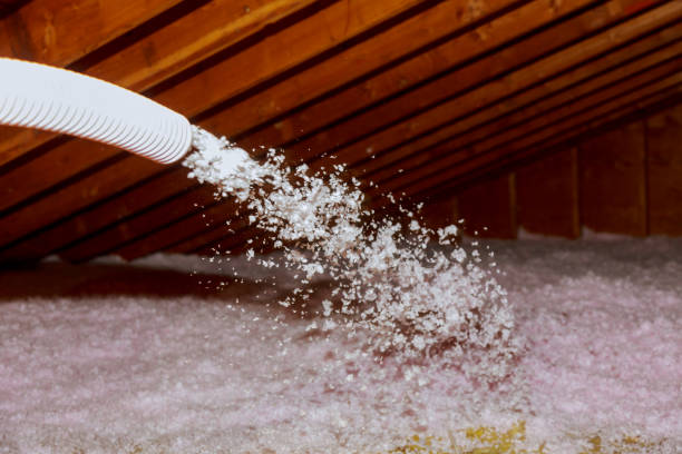 Best Insulation Installation Services in Monroe, WI