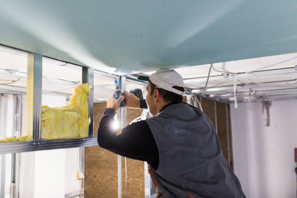 Best Insulation Maintenance and Repair in Monroe, WI